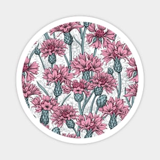 Cornflowers in pink and gray Magnet